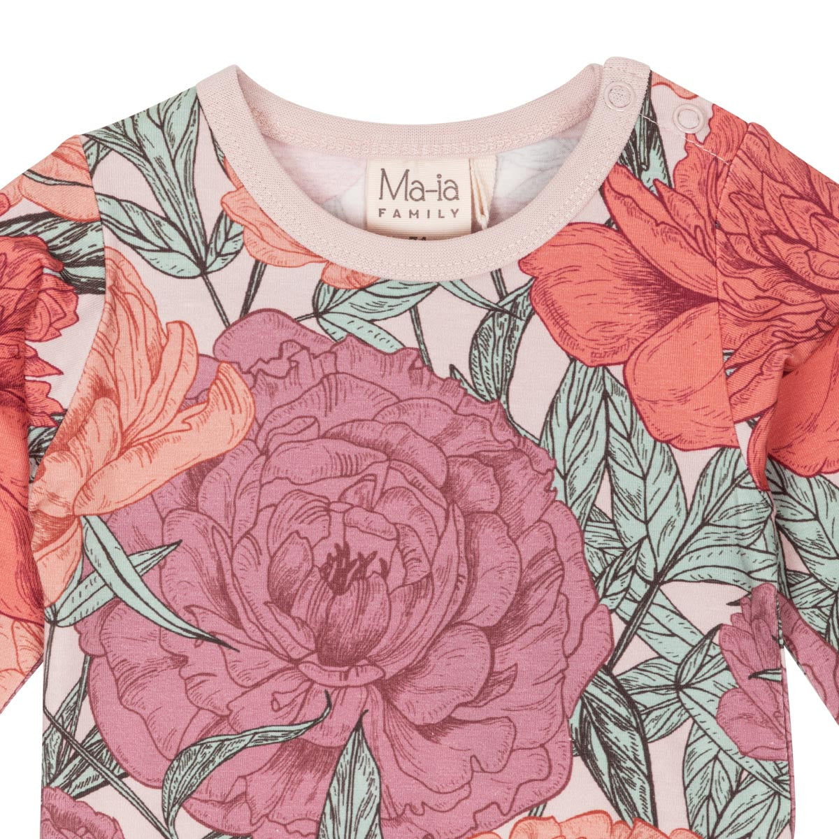 Mirabelis-body, roosa