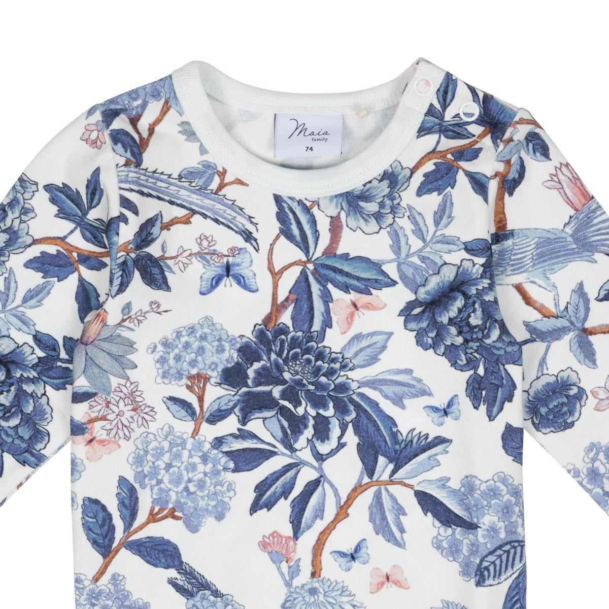 Sinilintu-body, luonnonvalkoinen